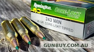Claremont Firearms REMMINGTON .243WIN 95GR CORE-LOKT TIPPED