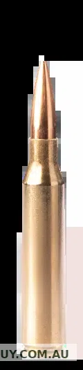 FIOCCHI 300GR SMK 10PK