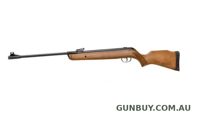 Gamo Big Cat Hunter 1250fps