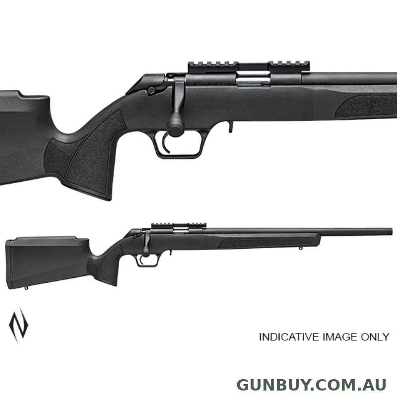 Springfield 2020 Rimfire Target Black 20