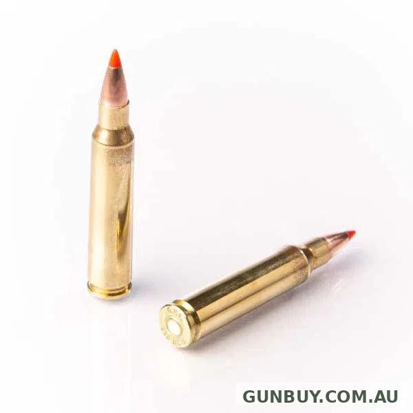 Fiocchi 223 Rem 60gr EPN Performance 50 PK