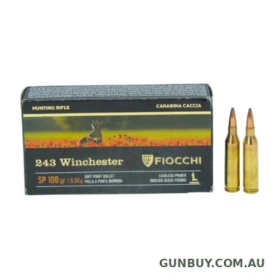 Fiocchi 243 Win 100gr SP 20pk