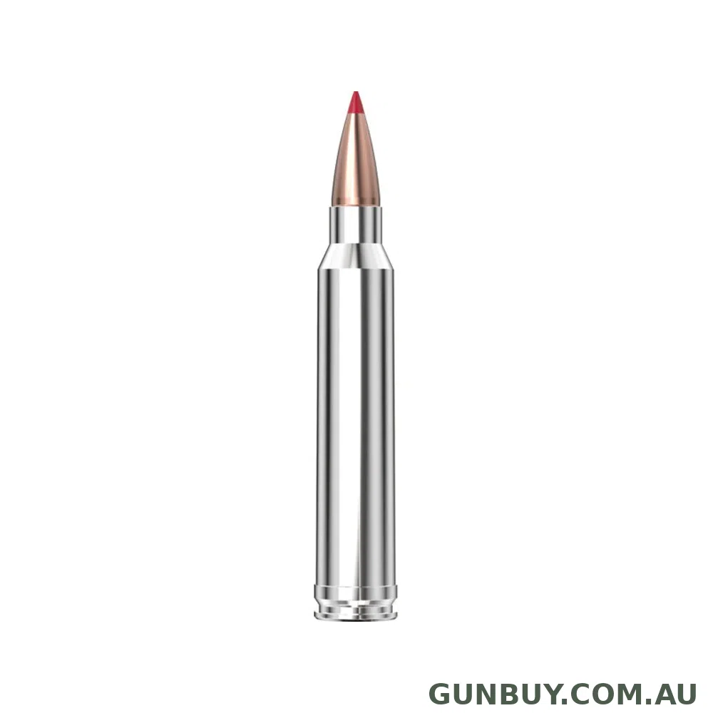 Hornady 300 Win Mag 180gr CX Outfitter - 20 Pack