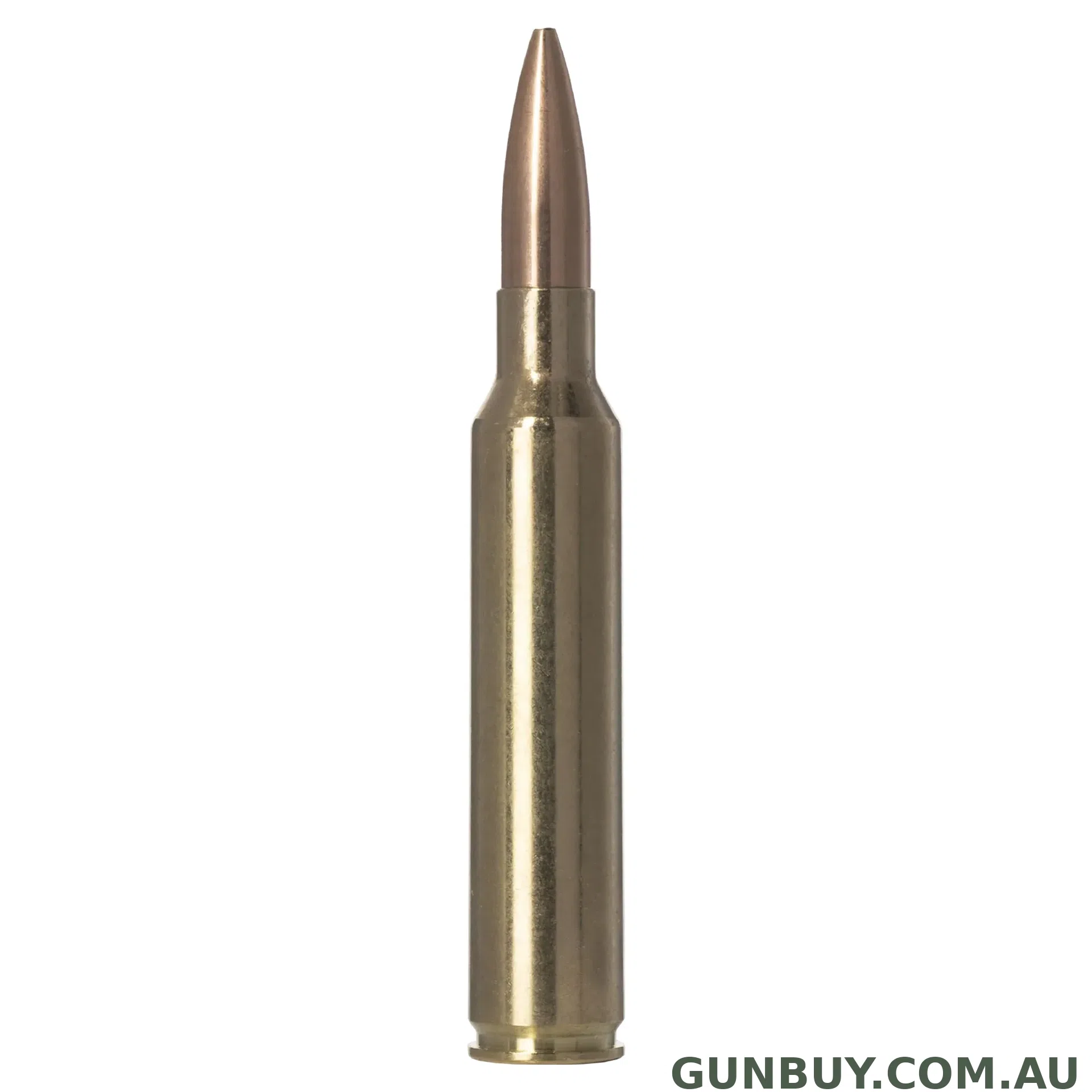 Norma 220gr Golden Target