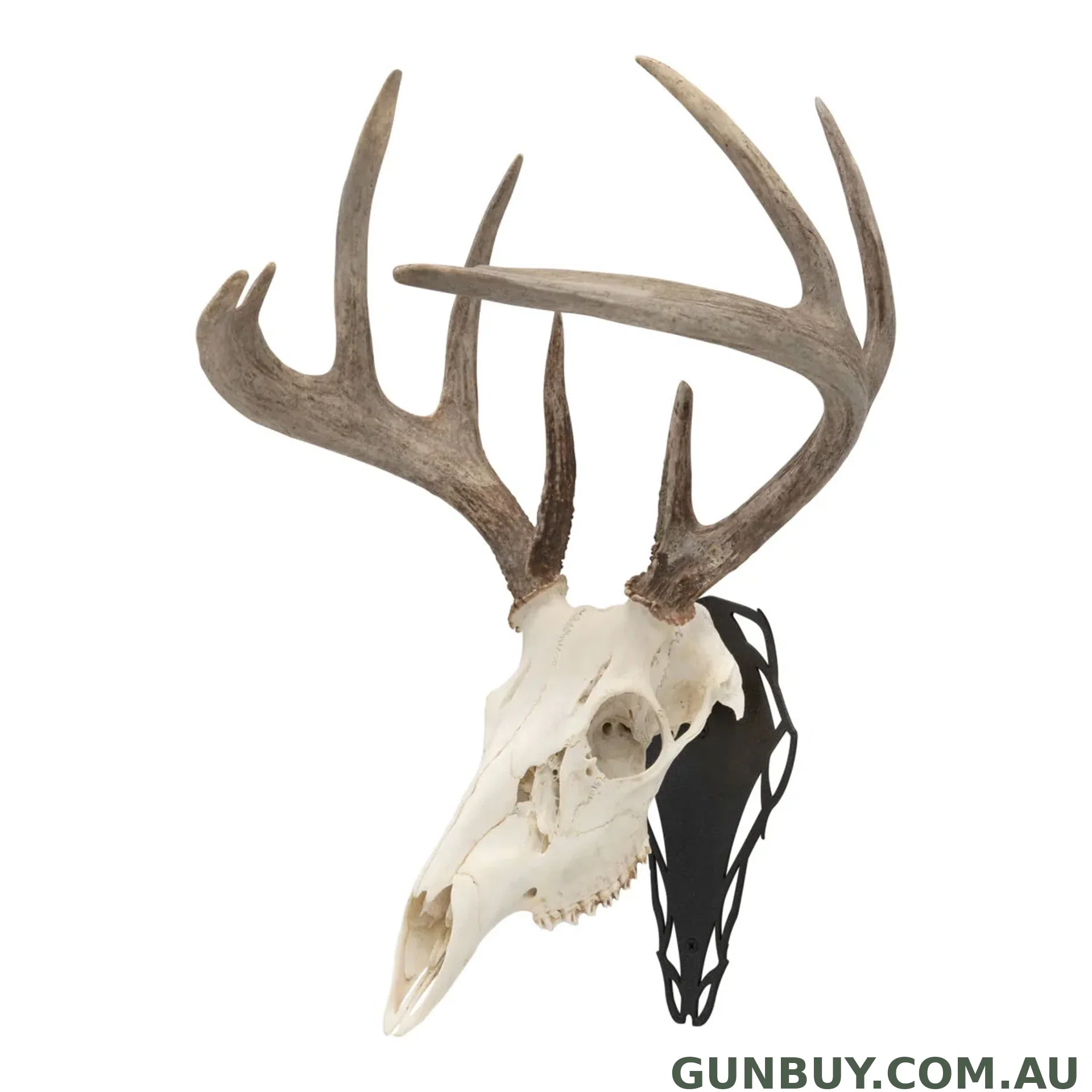 ALLEN Ez Mount Silhoette Skull Peg