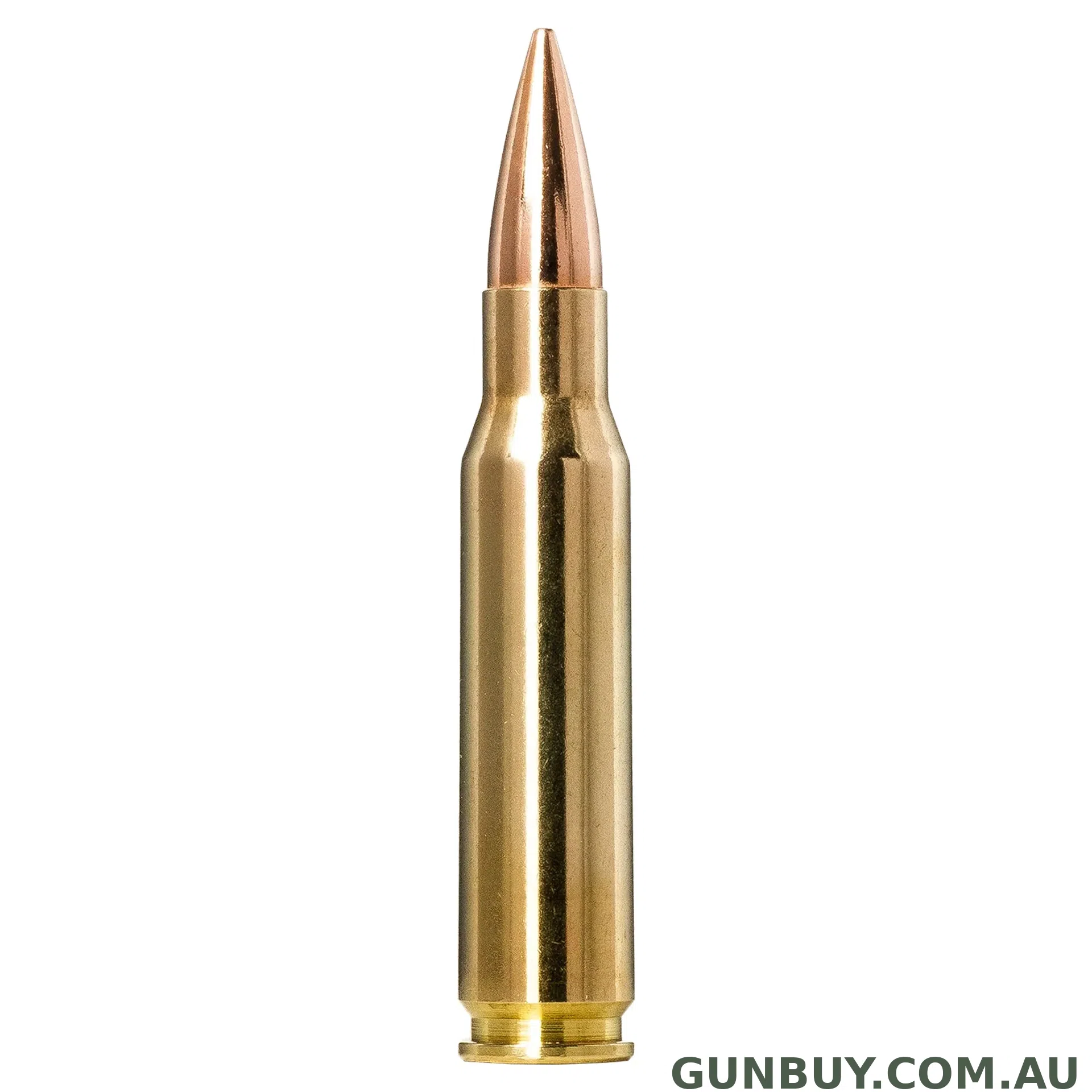 Norma 168gr Golden Target / 20