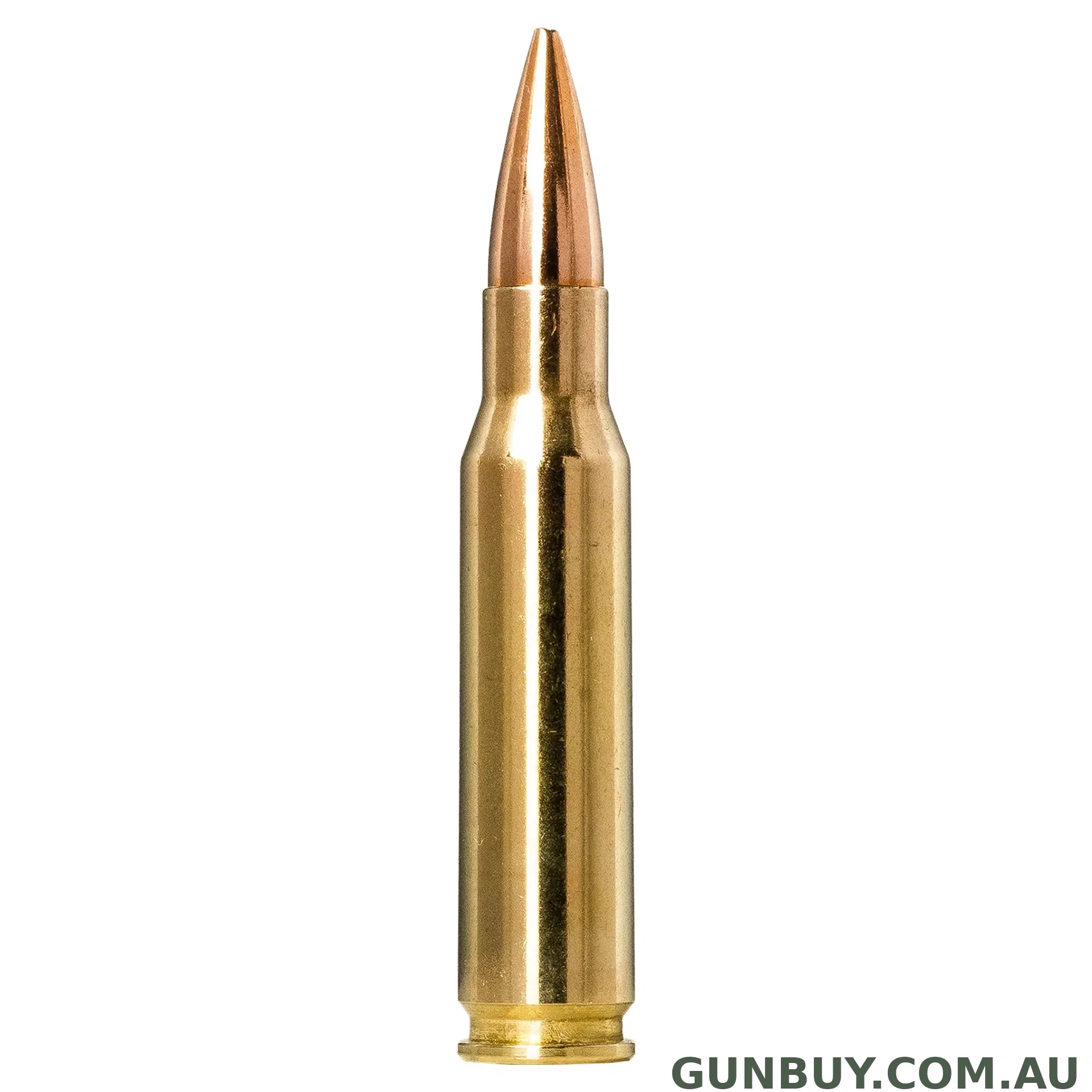 Norma 155gr Golden Target / 20