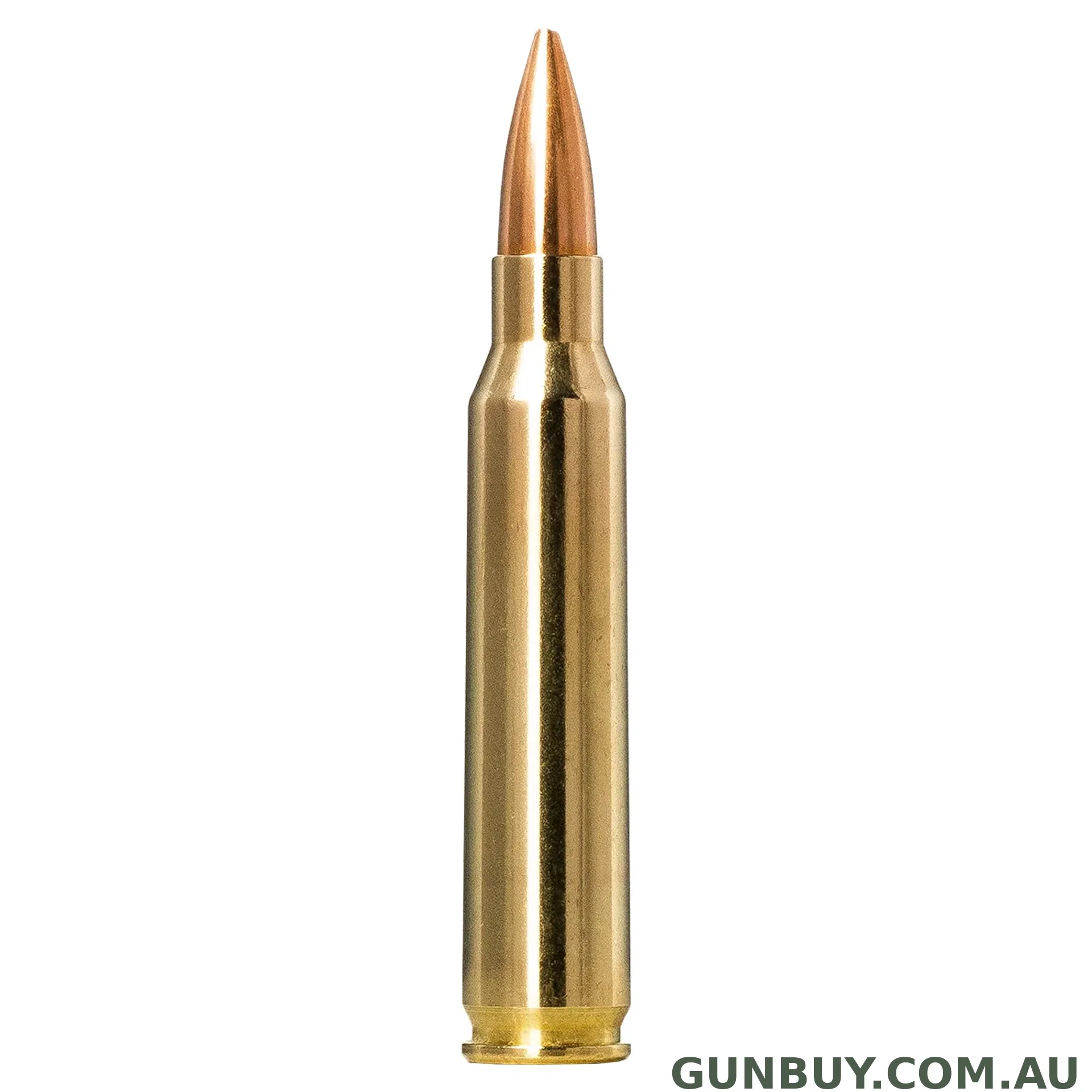 Norma 69gr Golden Target / 20