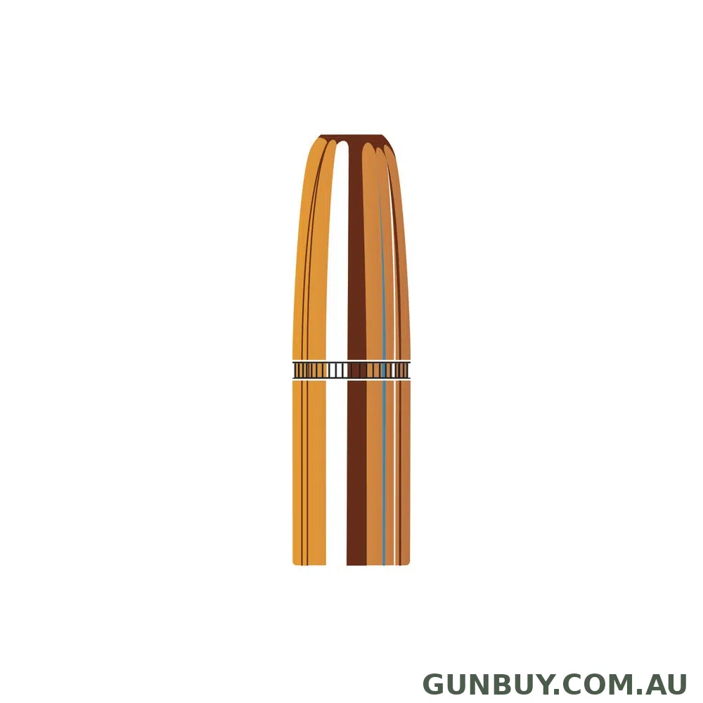 Hornady 9.3mm (.366 Diameter) Dgs 300gr Projectiles