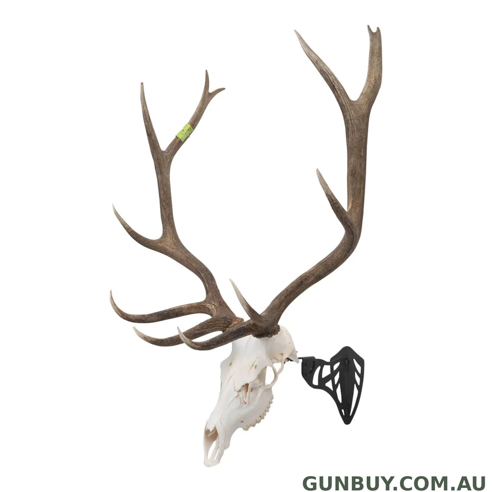 Ez Mount Skull Hanger Magnum - Black