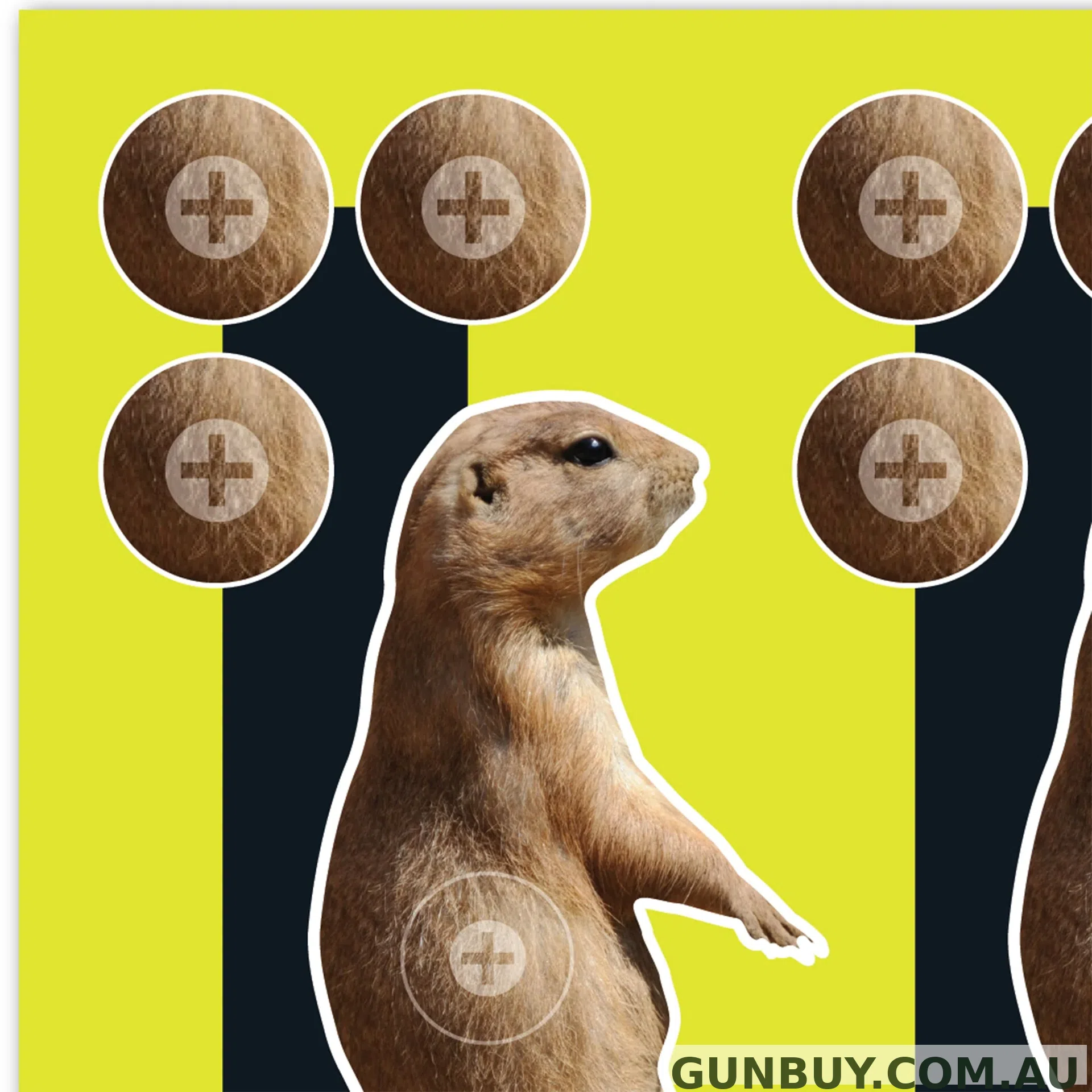 Allen Splash Reactive Target Prairie Dog 8x8 - 12 Pack