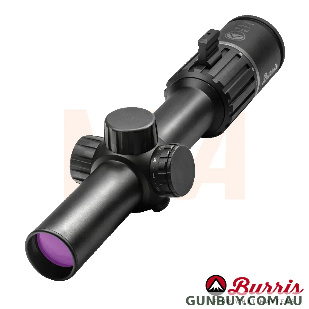 Burris RT6 1-6x24