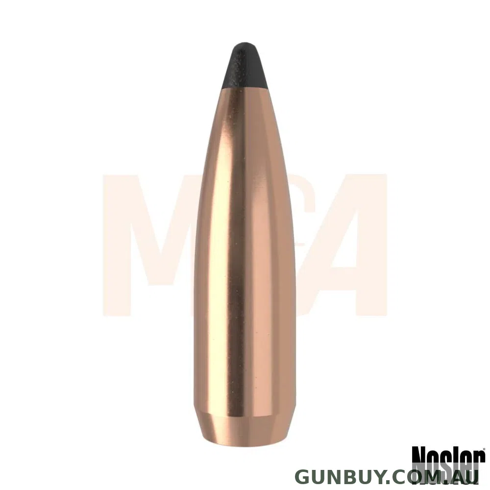 Nosler Solid Base Projectiles