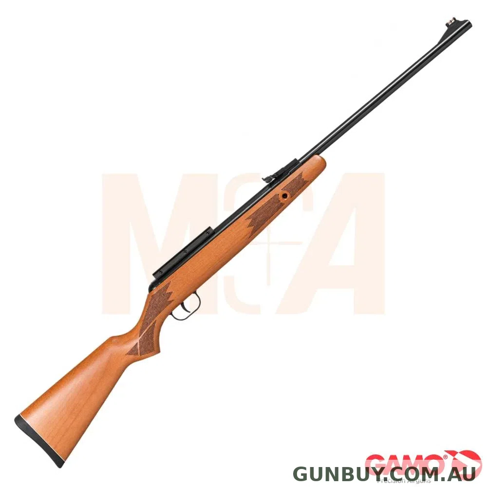 Gamo Winchester X55