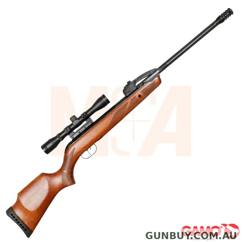 Gamo Replay Fast Shot Wood Gen 1