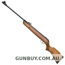 Gamo 22 BIG CAT HUNTER