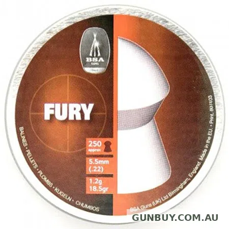 BSA .22 pellets Fury