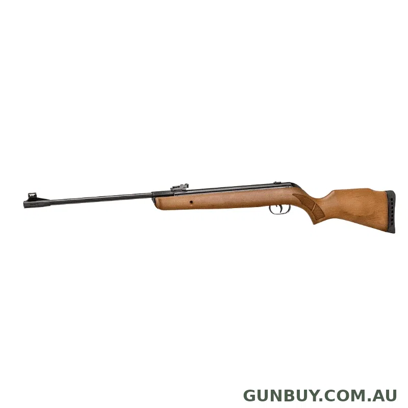 Gamo BIG CAT HUNTER 1250fps