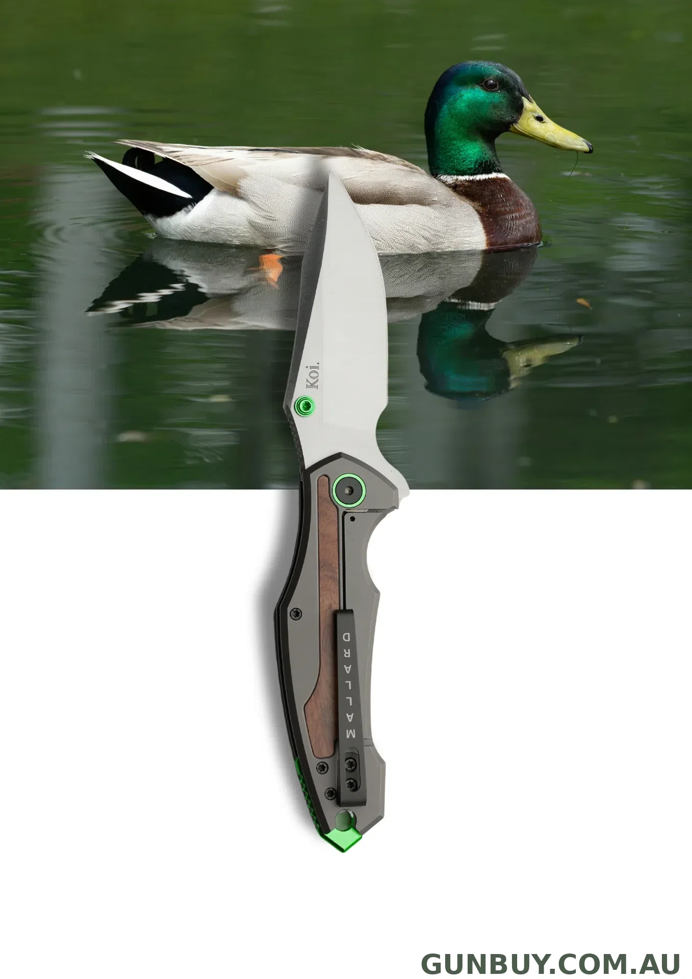 KOI MALLARD DUCK FOLDER - Knife