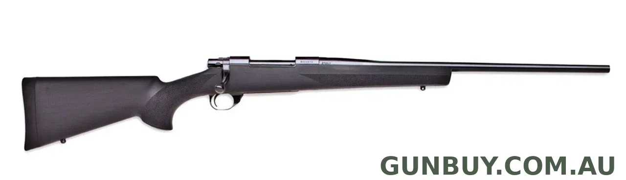 Howa 308 BLUE HOGUE