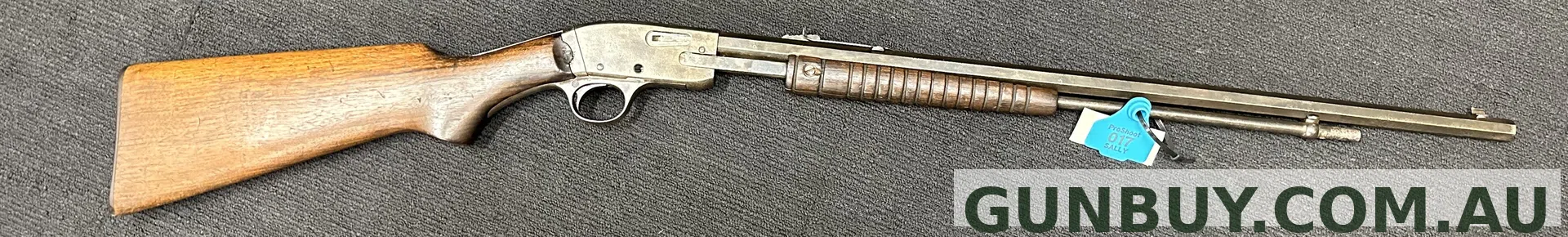 Savage 29