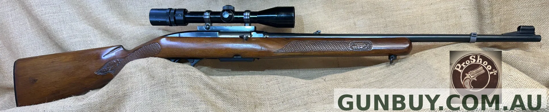 Winchester 100 Semi Auto 243 #1924
