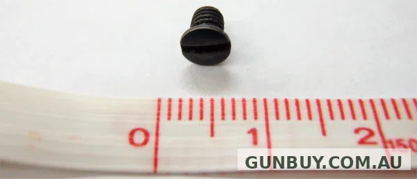 Rossi 92 Spring Cover Loading Gate Screw Blued (R10018163)
