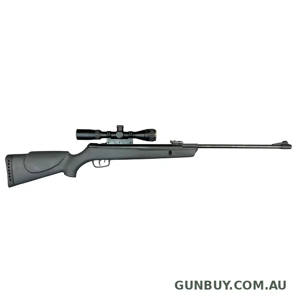 Gamo Big Cat 1000 .22 Air (30678)