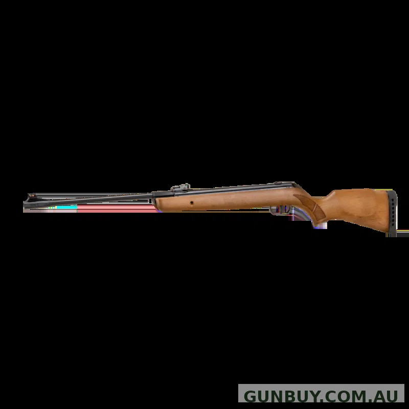 Gamo Big Cat Hunter 1250fps .22