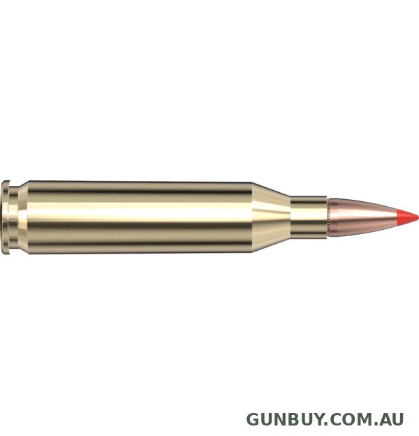 Hornady 243 Win 95gr SST SPF