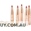 Hornady 25 Cal .257 90 gr CX