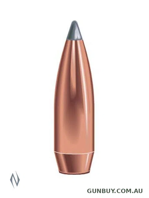 SPEER 165GR BOAT TAIL 100PK