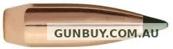 Sierra 6mm 70gr BliztKing 1507 (100 PK)