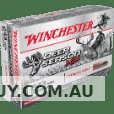 Winchester Deer Season 95gr XP