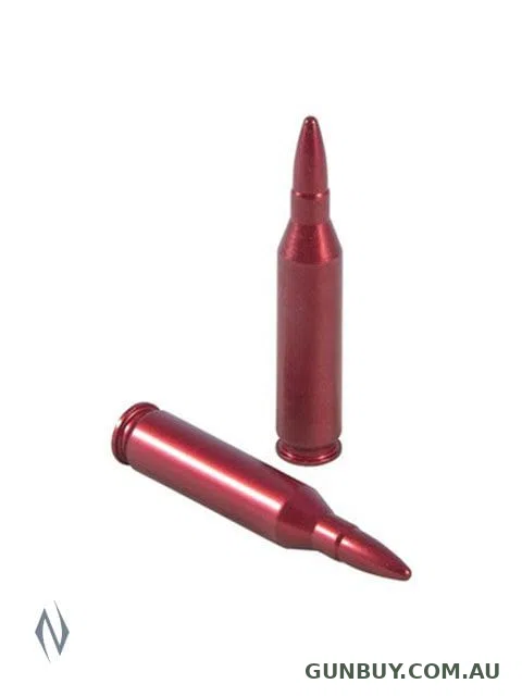 A-Zoom Snap Caps 243 Win 2pk