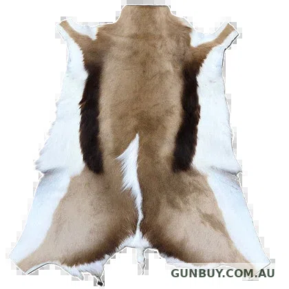 Sports Hut Springbok Skin