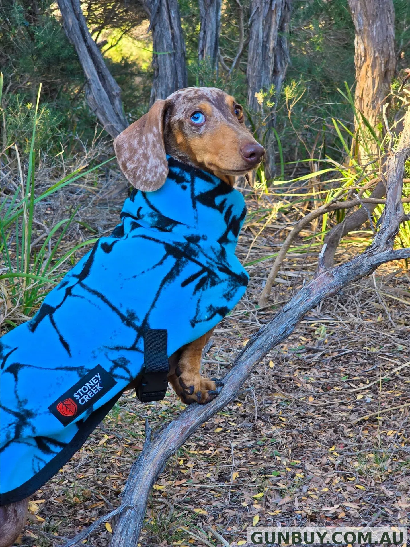 Stoney Creek Jones Dog Coat (Blaze Blue)