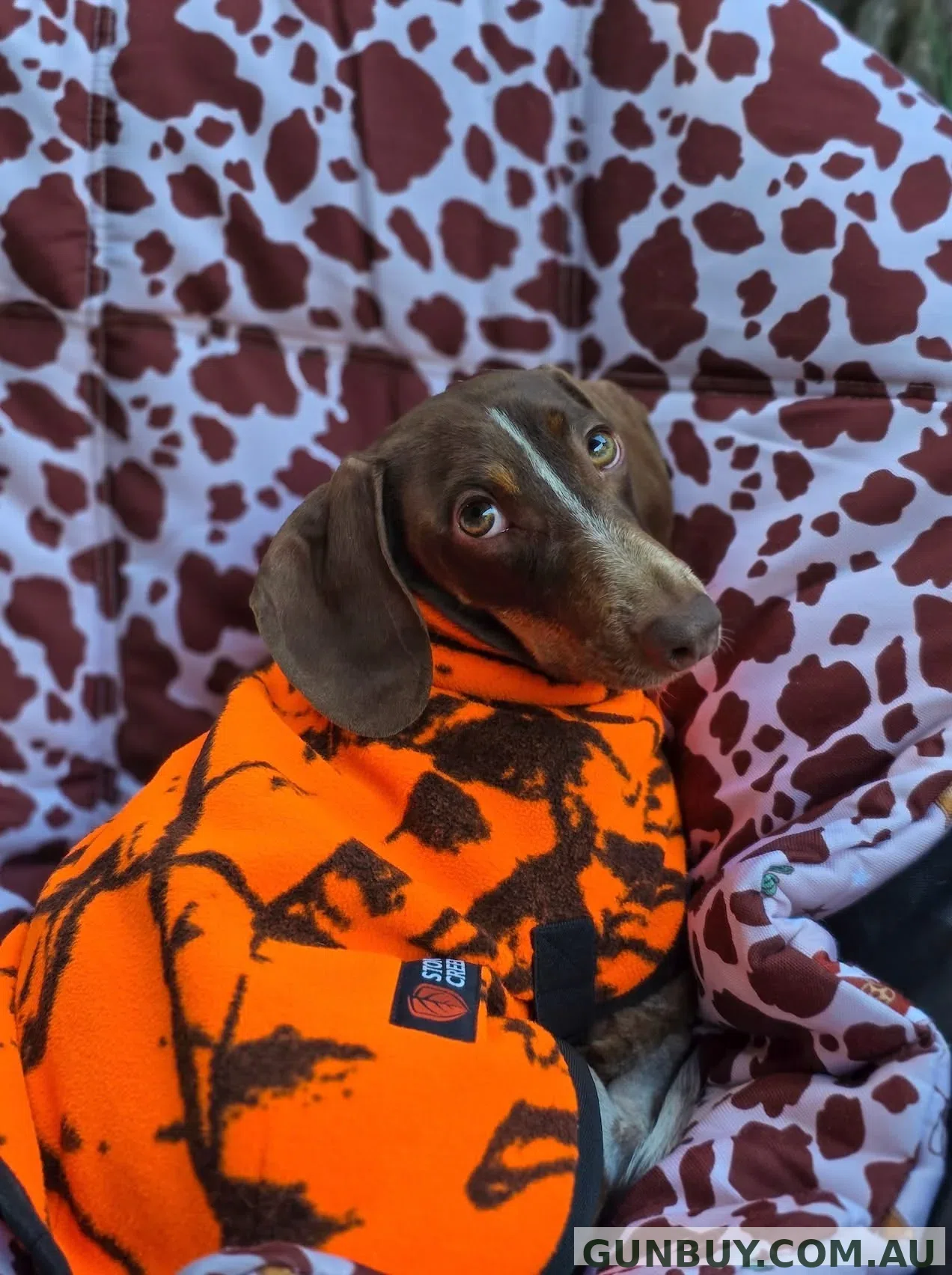 Stoney Creek Jones Dog Coat (Blaze Orange)