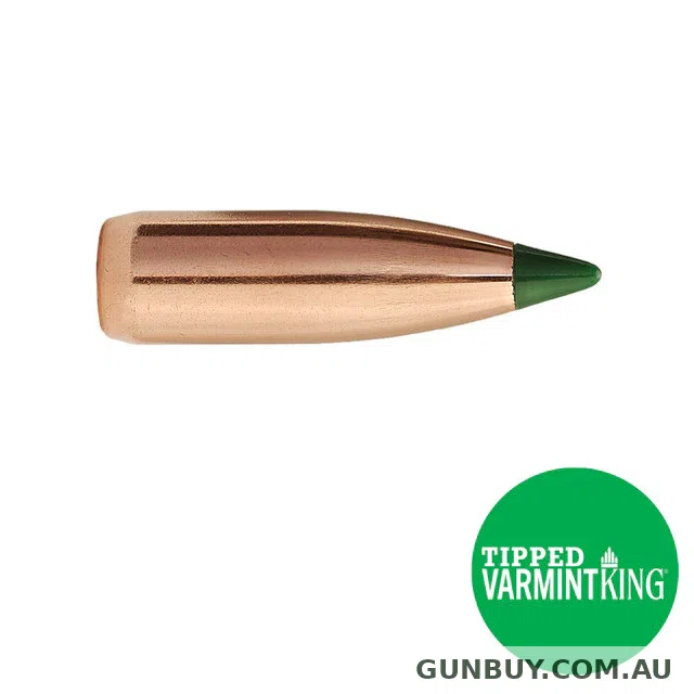 SIERRA 55gr BliztKing 100pk projectiles