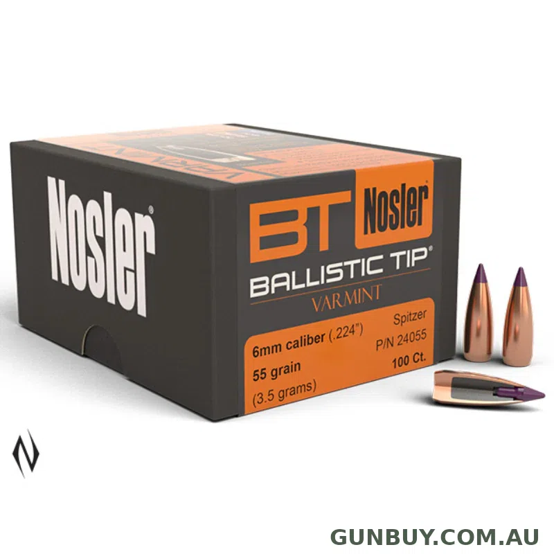 Nosler BTIP 243 55 GN