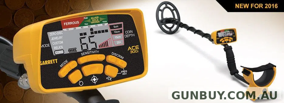 Garrett ACE 300i