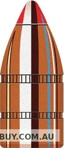 HORNADY 45 CAL 458 325GR FTX