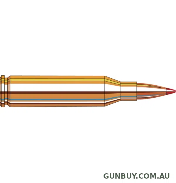 Hornady 243Win 87gr V-Max Custom