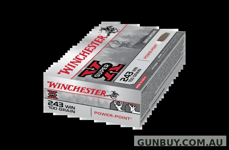 WINCHESTER 243 WIN SUPER-X 100GR PP