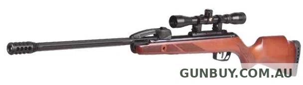 Gamo Replay Fast Shot Wood